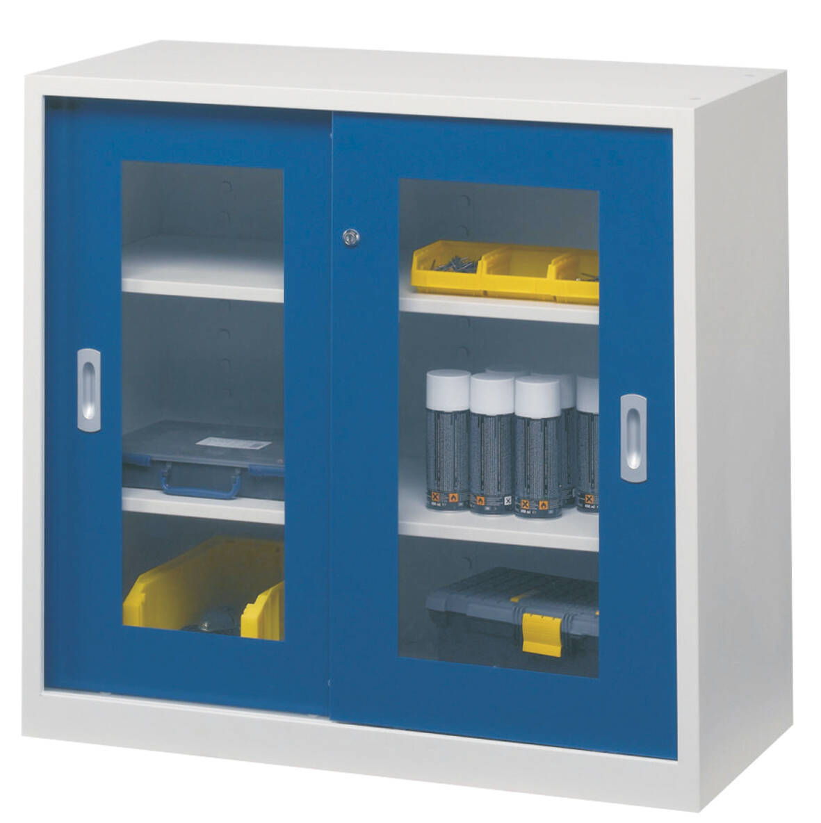 Armoire portes coulissantes pleines ou transparentes • AlganSirec