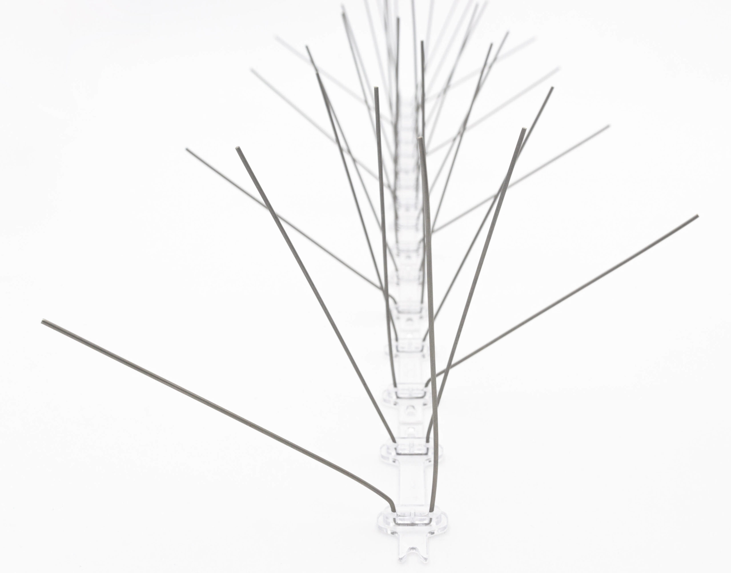 Pics anti-oiseaux - 64 pointes au ml